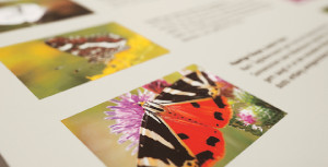 Lobby Ausstellung Wir sind nicht Allein – Insekten in der Stadt Lobby Ausstellung Wir sind nicht Allein – Insekten in der Stadt